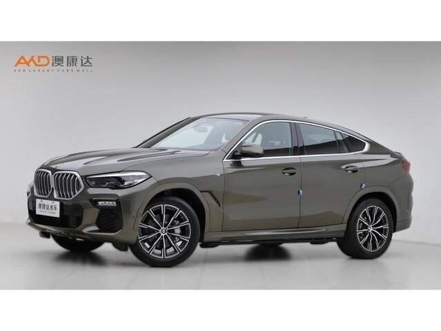 BMW X6 30i III (G06)