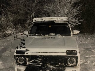 1995 Lada (ВАЗ) 2121 (4x4) I Рестайлинг, белый, 250000 рублей, вид 1