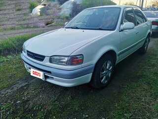1995 Toyota Corolla VIII (E110), белый, 345000 рублей, вид 1