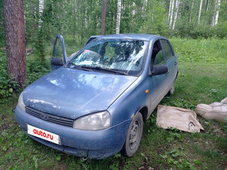 2006 Lada (ВАЗ) Kalina I, серый, 79000 рублей, вид 1