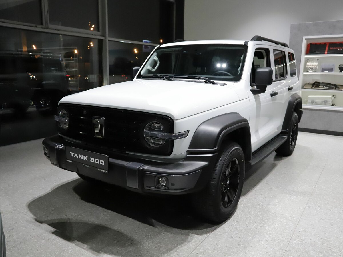 Tank 300 I