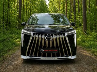 2025 GAC M8, чёрный, 5999999 рублей, вид 1
