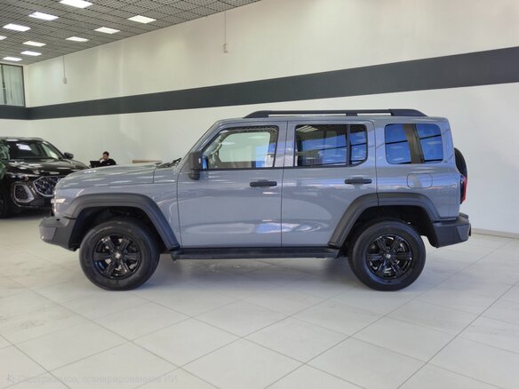 2024 Tank 300 I, серый, 4250000 рублей - вид 1