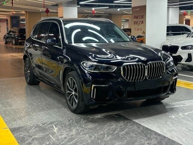 BMW X5 Long 30Li IV (G05/G18)