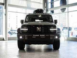 2025 Tank 300 I, серый, 5049000 рублей, вид 2