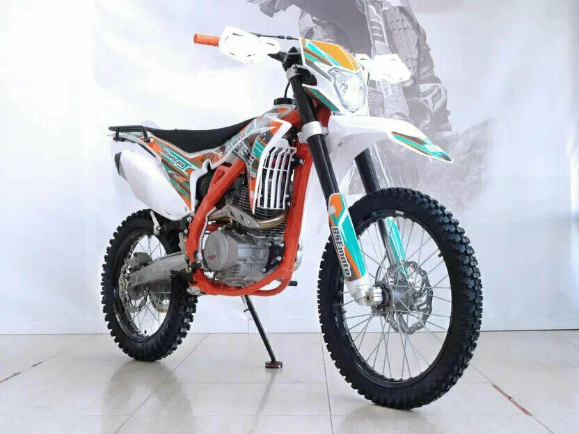BSE Z6