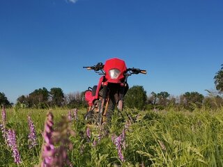 Racer Panther