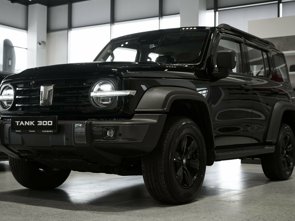Tank 300 I