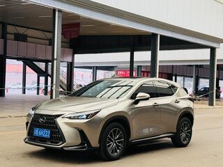 2022 Lexus NX 200 II, бежевый, 2867000 рублей, вид 1