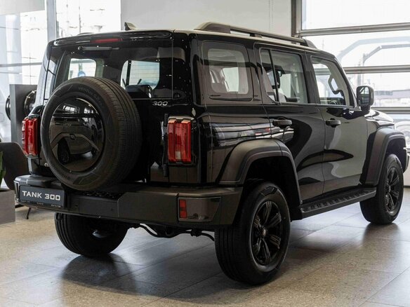 2026 Tank 300 I, чёрный, 4799000 рублей - вид 4