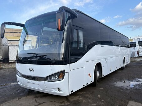 2024 Higer KLQ 6119, белый, 13500000 рублей, вид 2