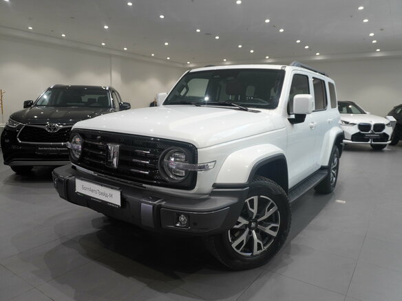 2025 Tank 300 I, белый, 4452000 рублей