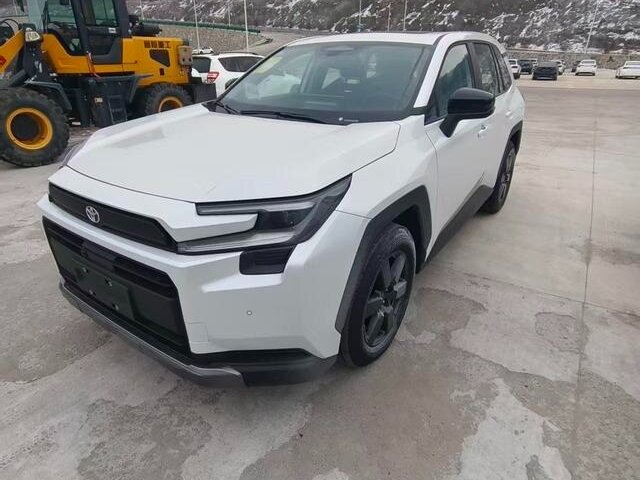 Toyota RAV4 VI (XA60)