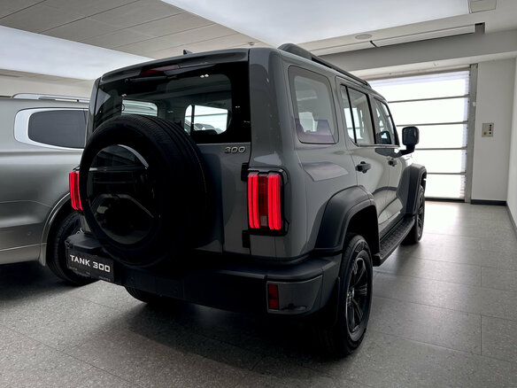 2026 Tank 300 I, серый, 4499000 рублей - вид 6