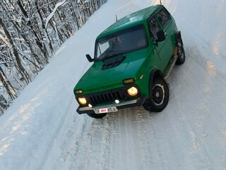 1995 Lada (ВАЗ) 2121 (4x4) I Рестайлинг, зелёный, 235000 рублей, вид 1