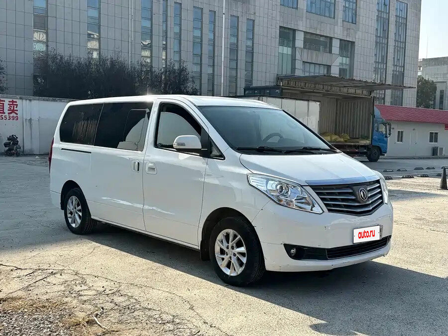 Forthing Lingzhi Plus