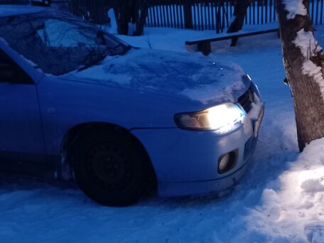 Жәндіктердің порносы