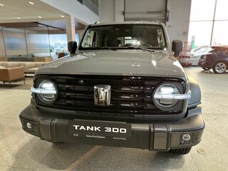 2025 Tank 300 I, серый, 4699000 рублей, вид 1