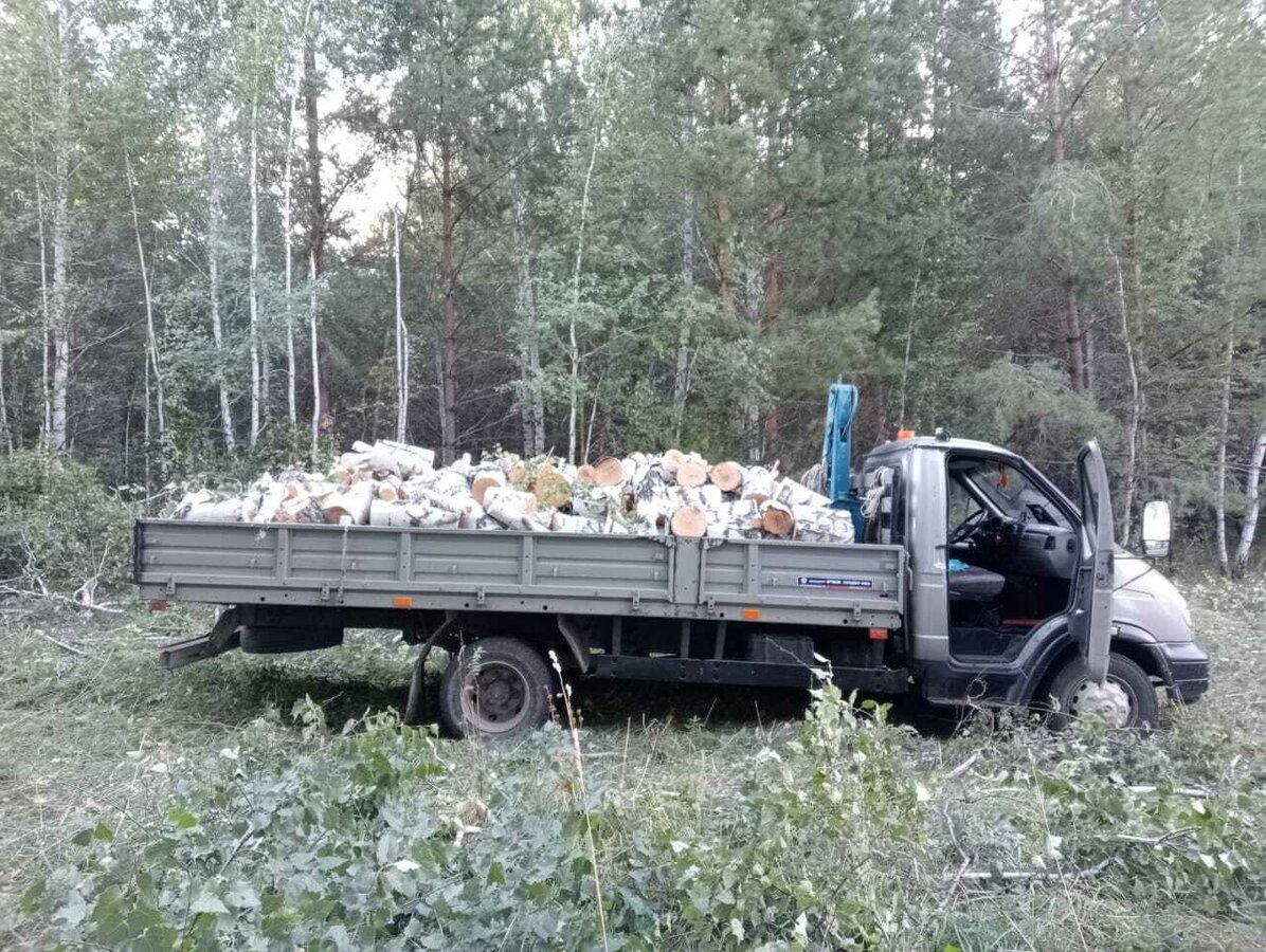 Уфа приютово газель