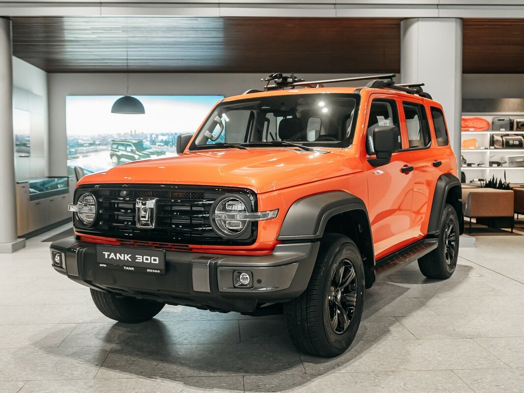 Tank 300 I