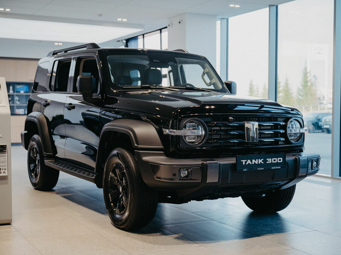 Tank 300 I