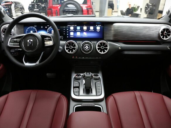 2026 Tank 300 I, чёрный, 4799000 рублей - вид 19