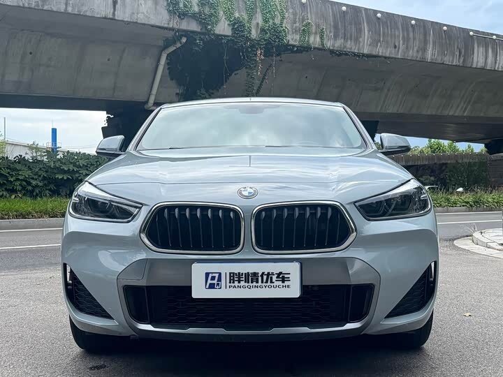 BMW X2 sDrive18i I (F39)