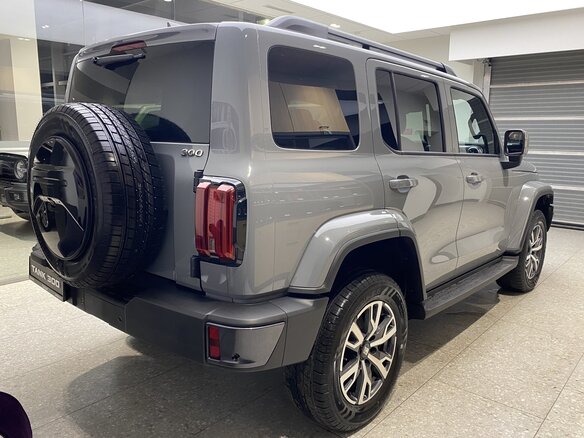 2025 Tank 300 I, серый, 5149000 рублей - вид 4