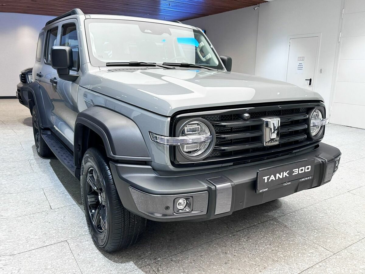 Tank 300 I