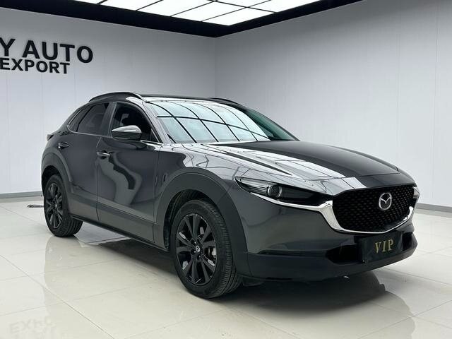 Mazda CX-30 I