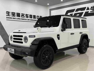 2024 BAW 212 T01, белый, 4035000 рублей, вид 1