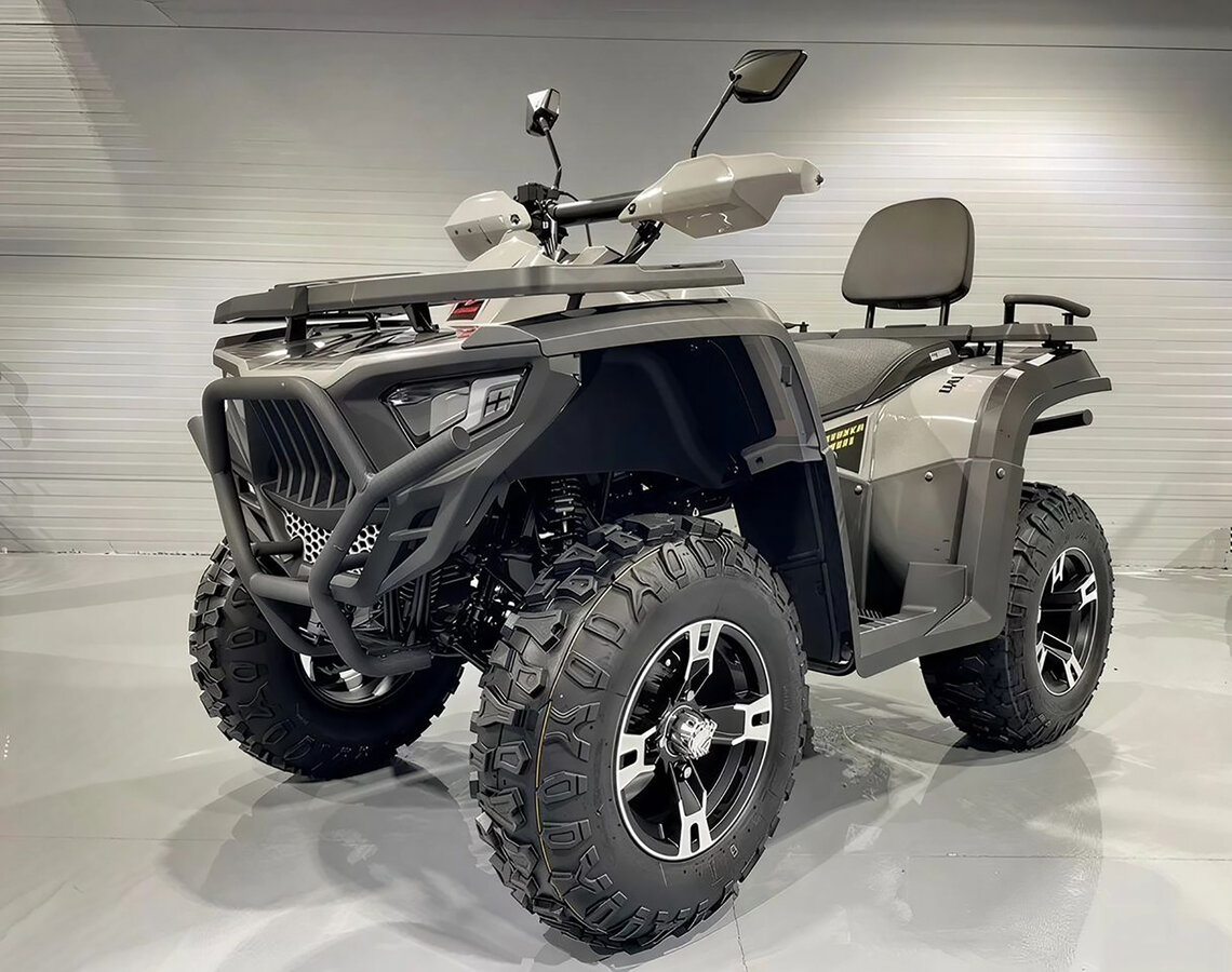 Bashan Explorer 300