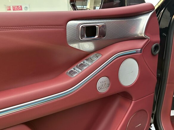 2025 Tank 700, чёрный, 13099000 рублей - вид 19