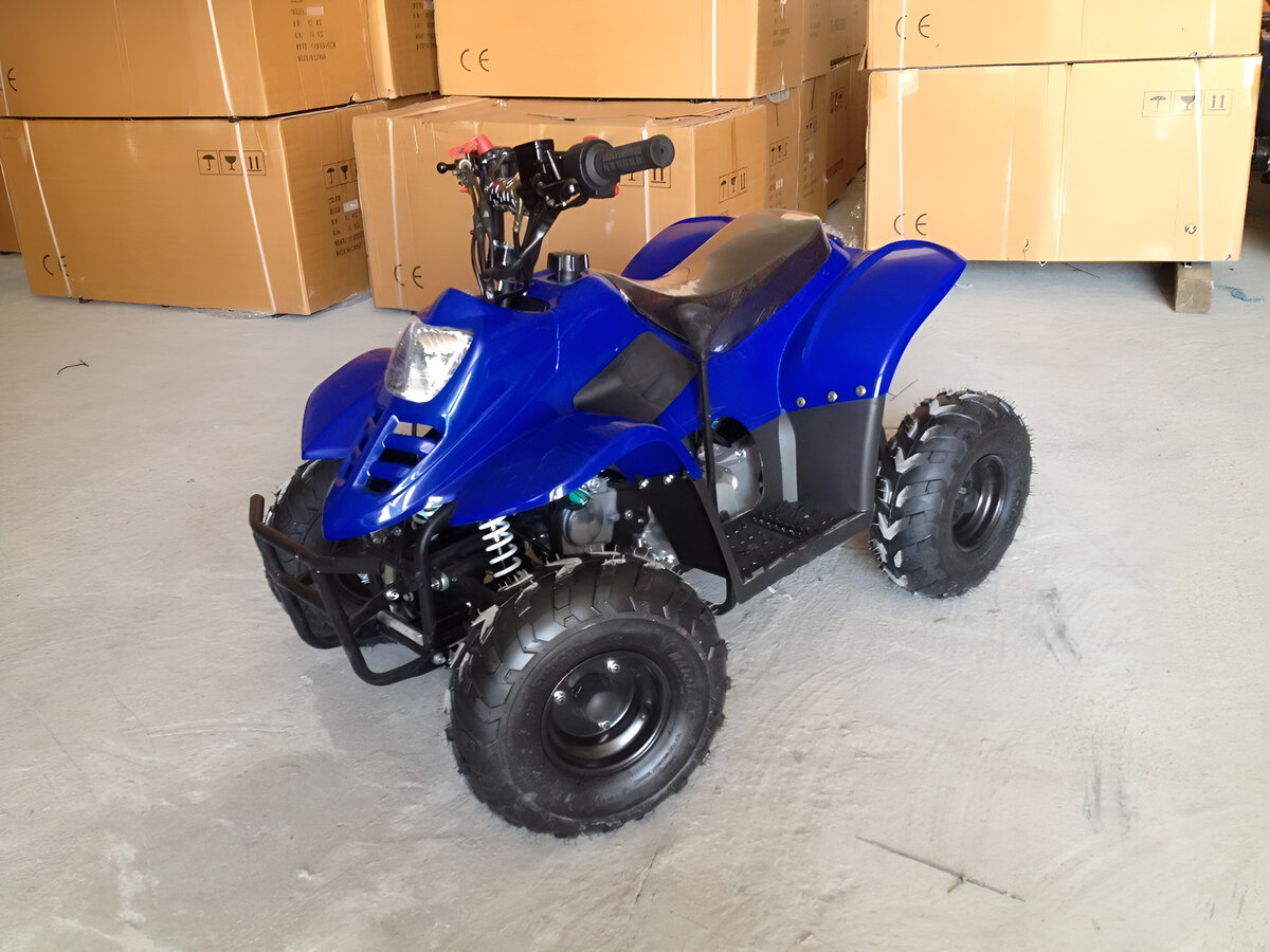 Raptor ATV110