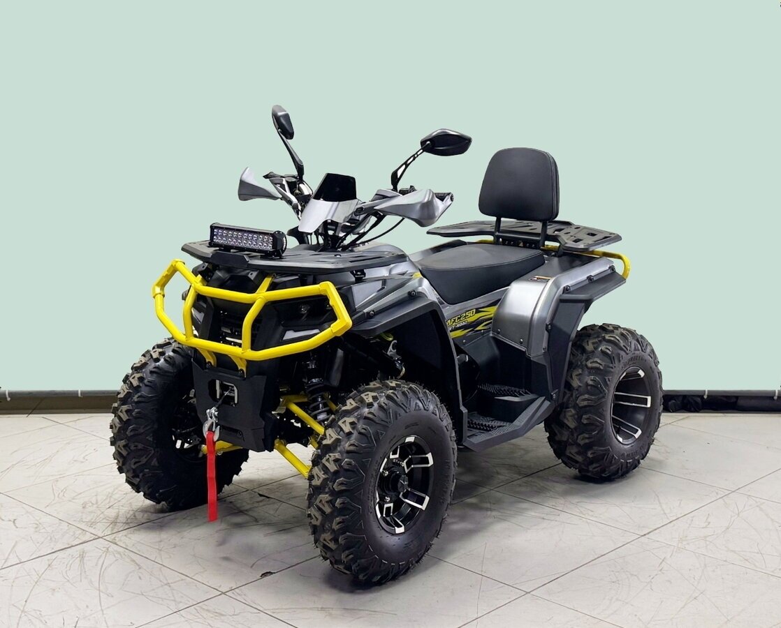 Bison ATV 250F