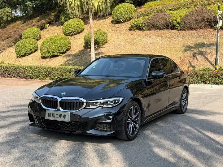 BMW 3 серии Long 320Li VII (G2x)