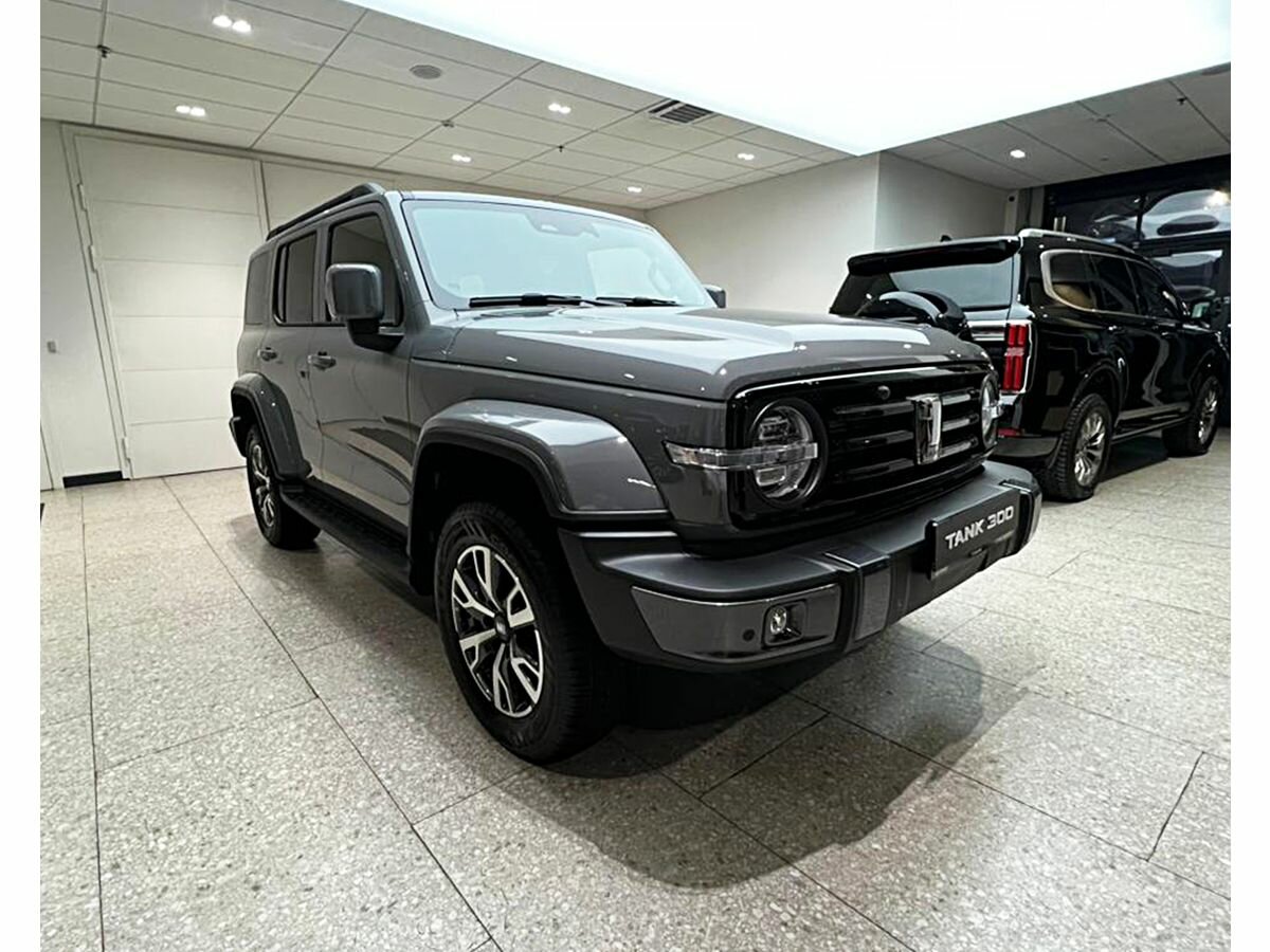 Tank 300 I