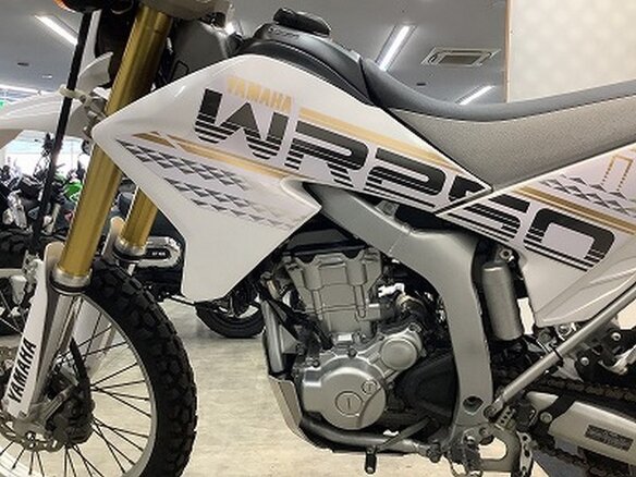 2016 Yamaha WR250R, белый, 785000 рублей - вид 7