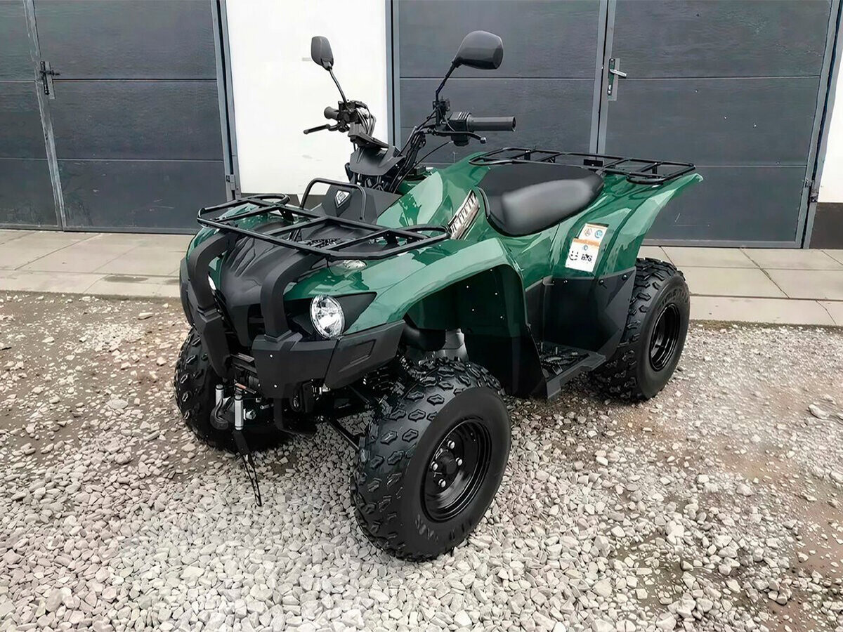 Yamaha Grizzly 300