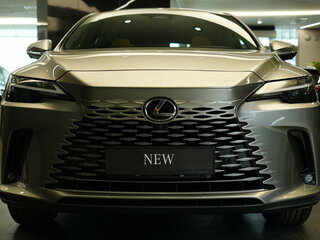 2025 Lexus RX 300 V, серый, 8090000 рублей, вид 1
