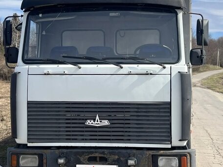 2007 МАЗ 4370, белый, 799000 рублей, вид 1