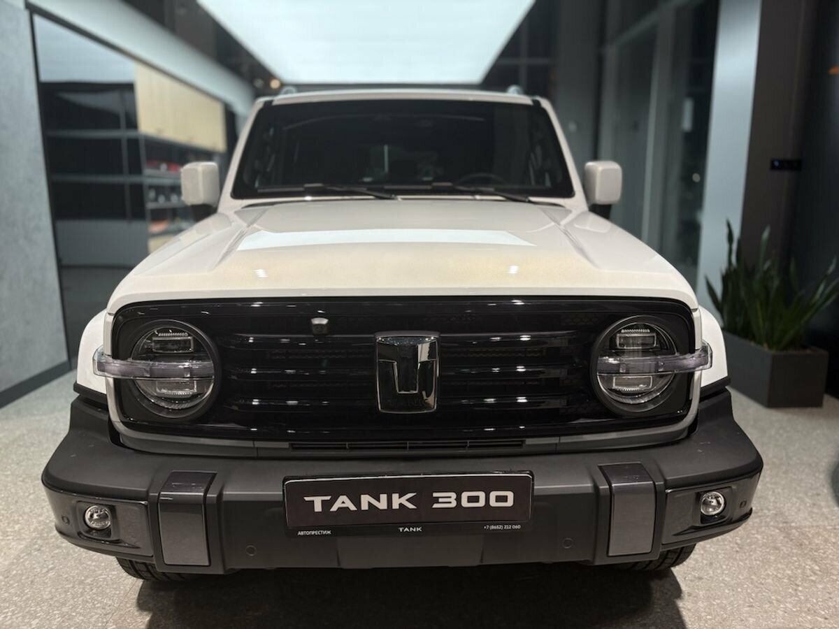 Tank 300 I