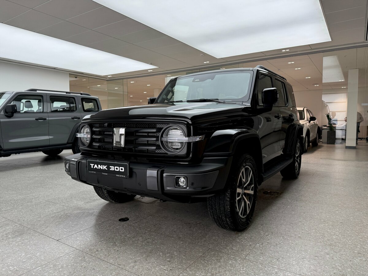 Tank 300 I
