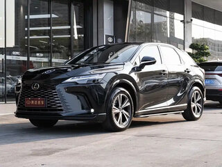 2025 Lexus RX 300 V, чёрный, 6199099 рублей, вид 1
