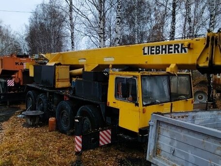 1982 Liebherr LTM краны с телескопической стрелой, 3900000 рублей, вид 1
