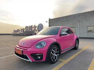 2019 Volkswagen Beetle II (A5), розовый, 1250001 рублей, вид 1