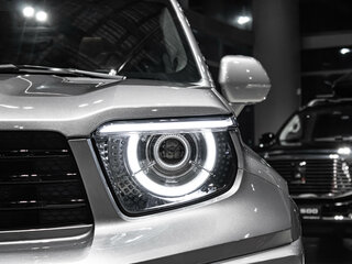 2025 Tank 700, серый, 10699000 рублей, вид 1