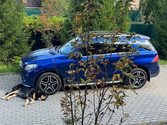 2017 Mercedes-Benz GLE 350 d I (W166), синий, 3690000 рублей