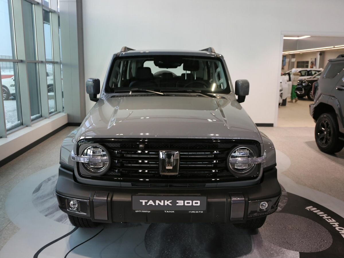 Tank 300 I