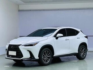 2025 Lexus NX 200 II, белый, 5529000 рублей, вид 1